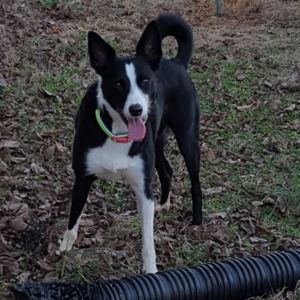 Meet your Posher, Veronica